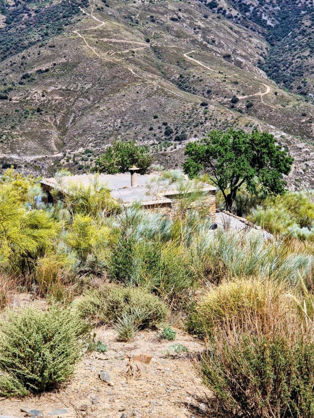 Casa de Férias Cortijo La Vista *