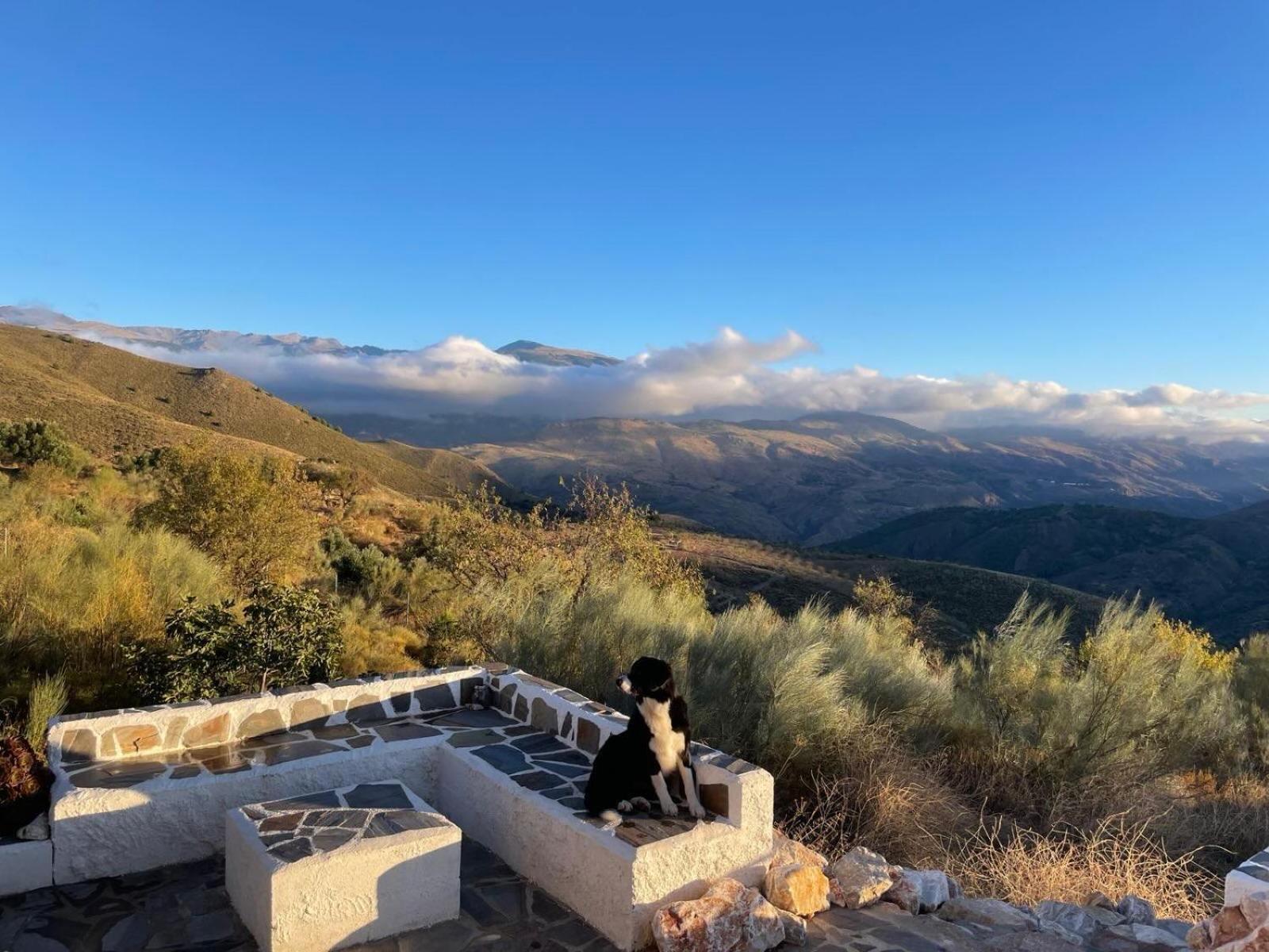 Casa de Férias Cortijo La Vista *